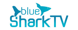 blueshark